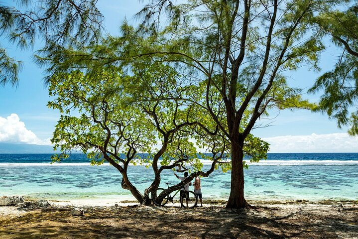 Moorea beach with trees